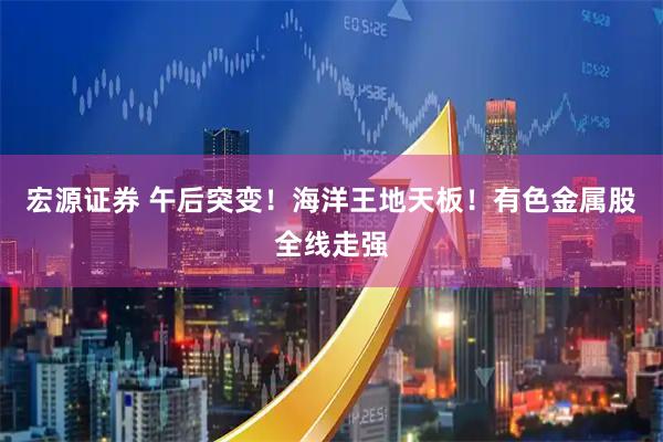 宏源证券 午后突变！海洋王地天板！有色金属股全线走强
