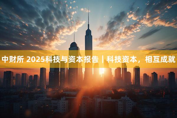 中财所 2025科技与资本报告｜科技资本，相互成就