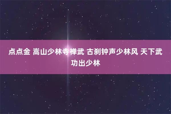 点点金 嵩山少林寺禅武 古刹钟声少林风 天下武功出少林