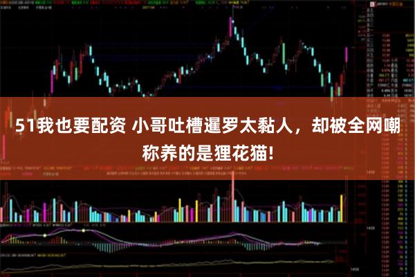 51我也要配资 小哥吐槽暹罗太黏人,却被全网嘲称养的是狸花猫!